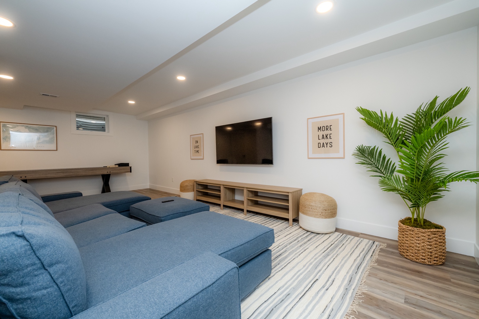 Basement TV Room