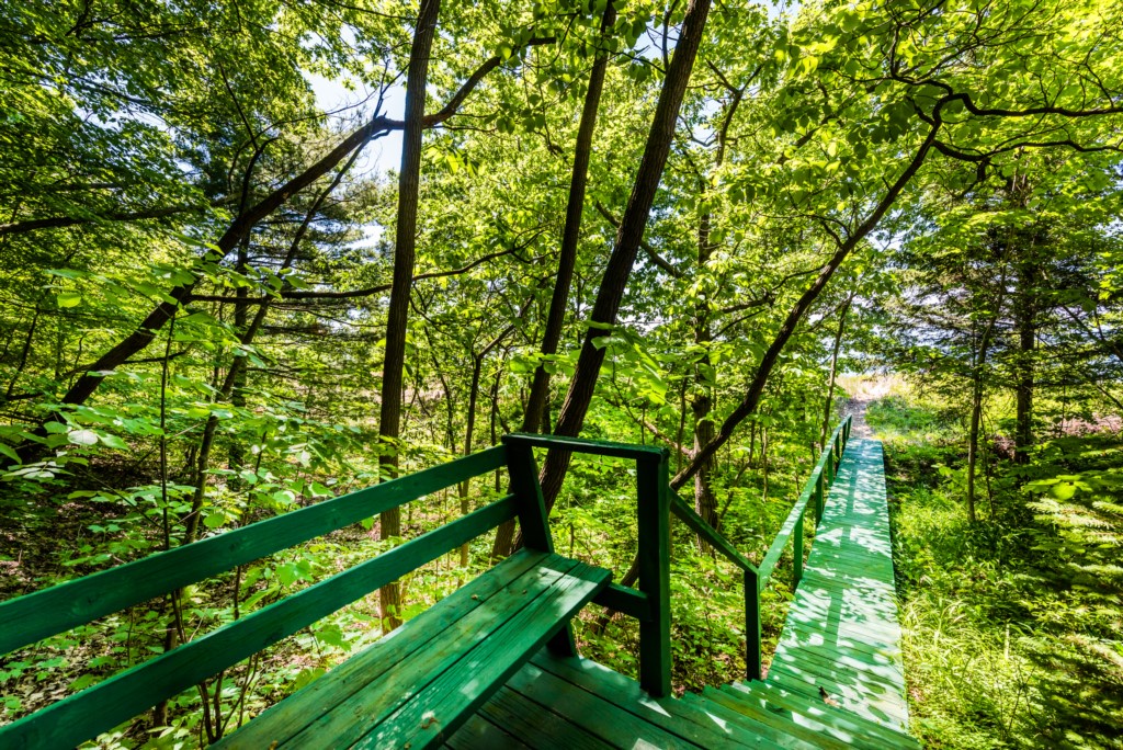 Path to Beach