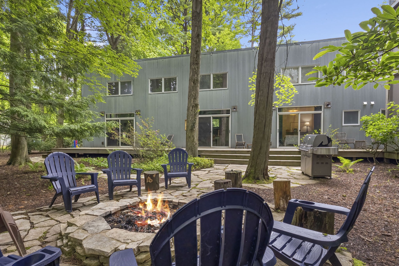 Roast S'mores Under The Stars