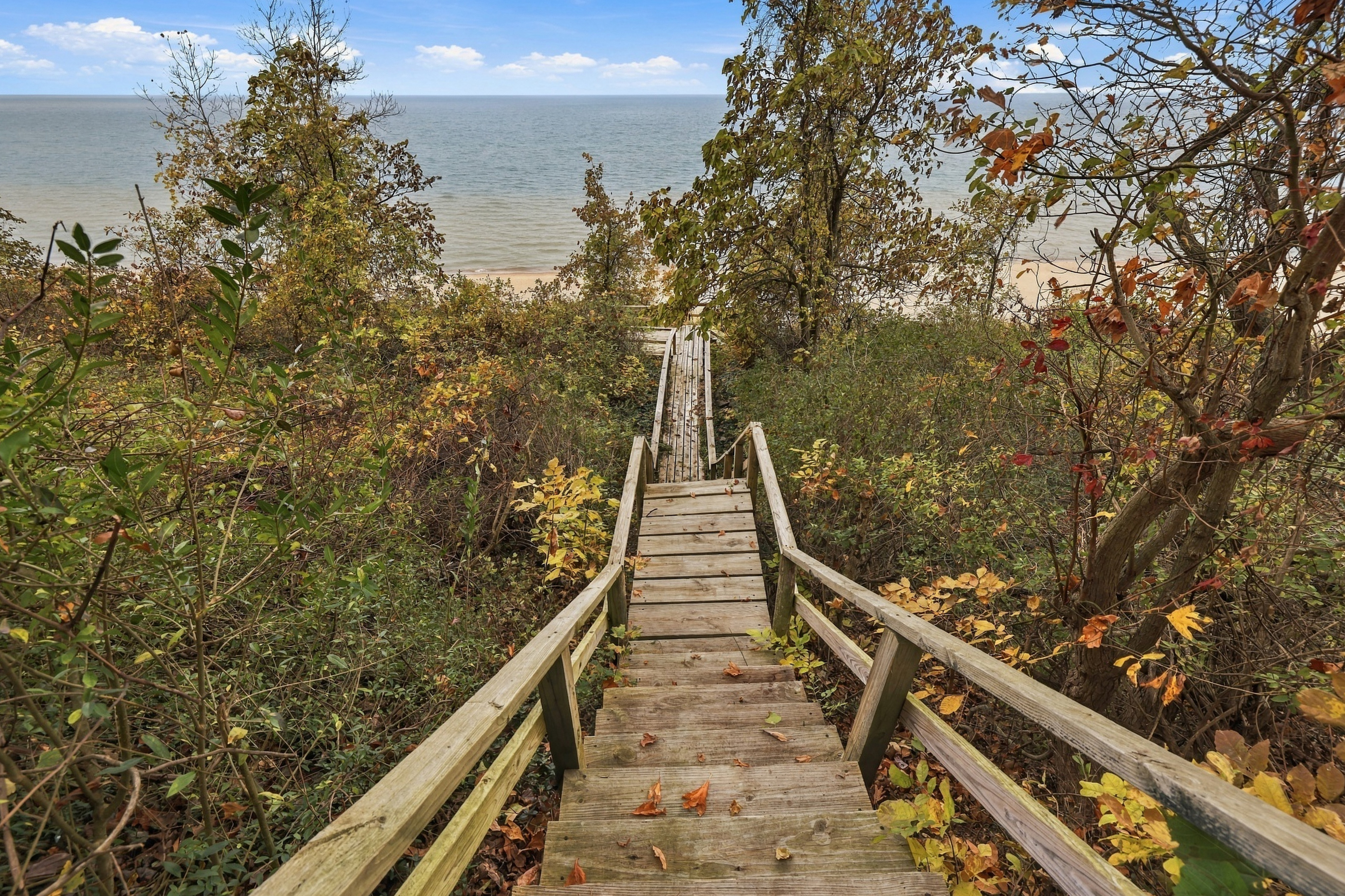 Your Steps To Paradise