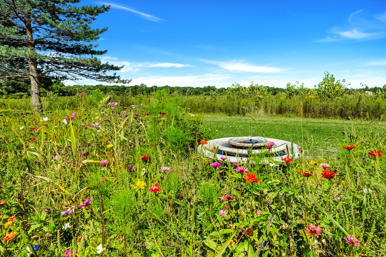 Gorgeous Ground On Several Acres