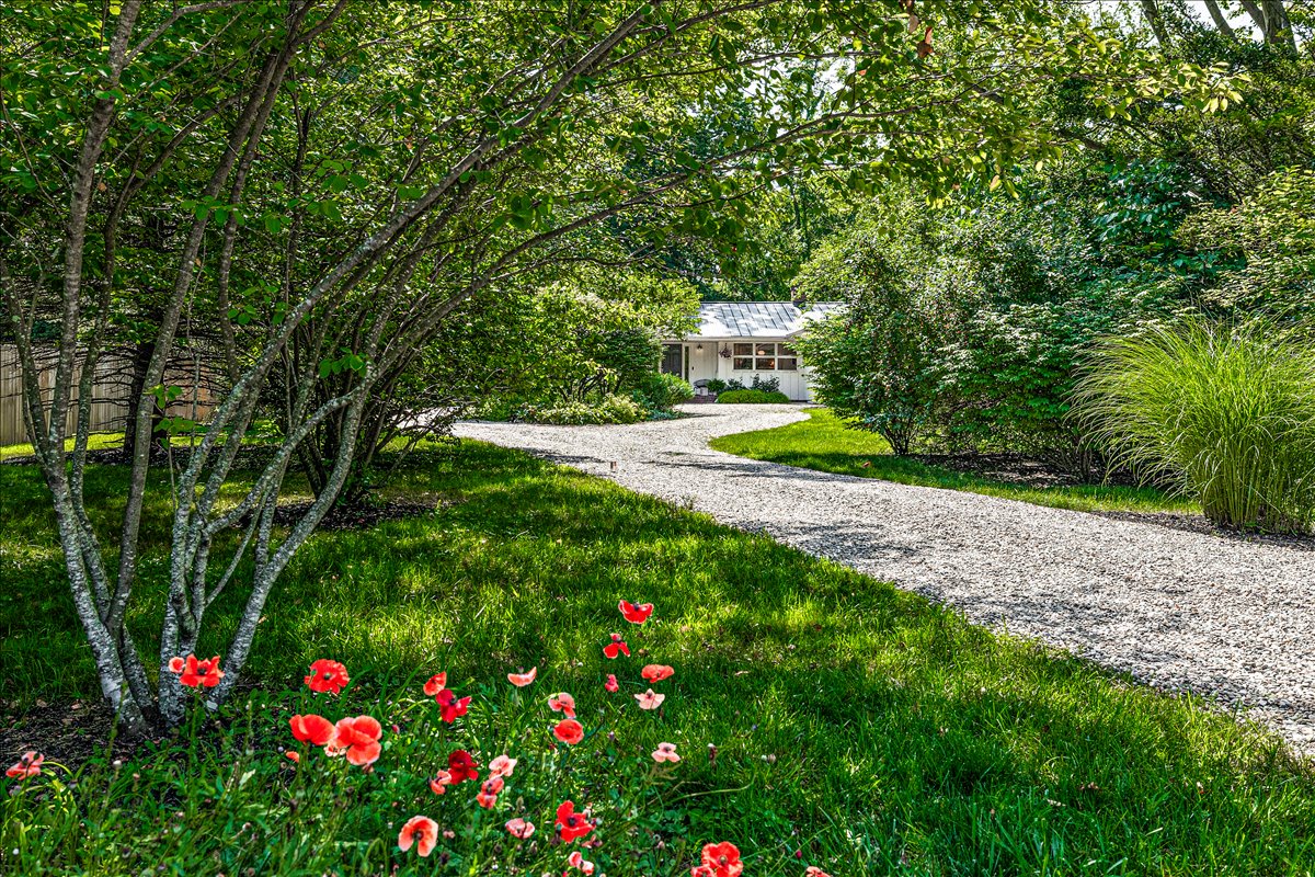 A peaceful gravel driveway winds through mature trees and landscaped gardens to the property entrance.