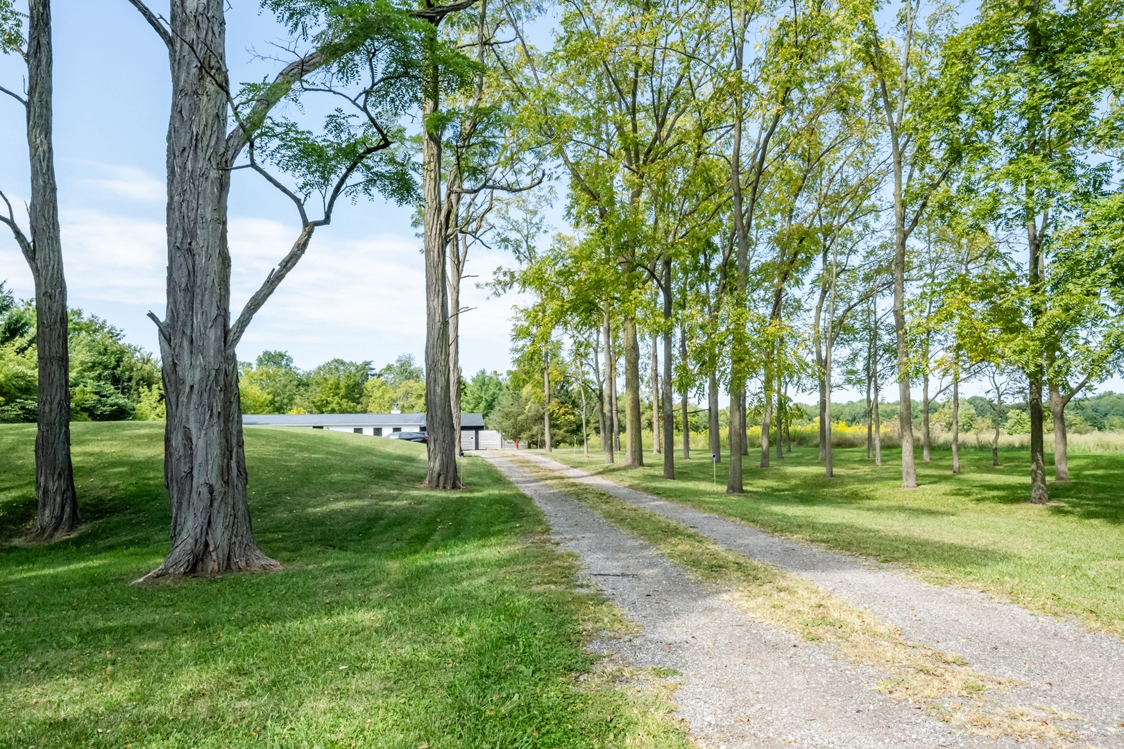 Driveway To Paradise!