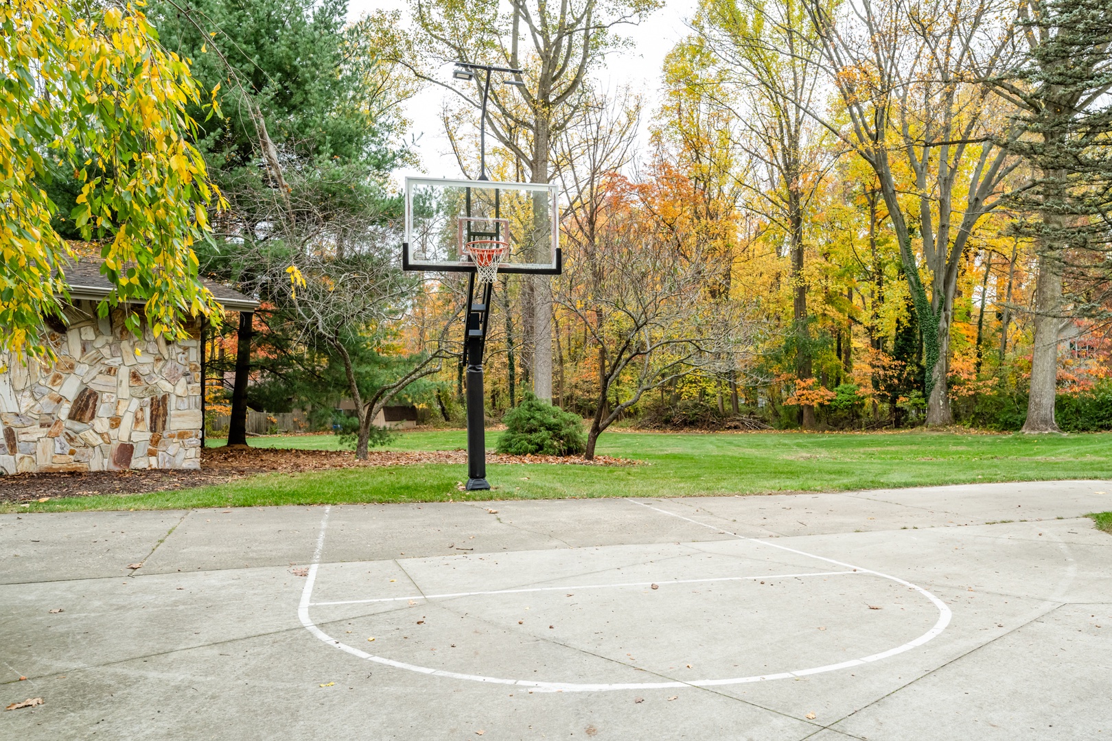 Basketball Hoop