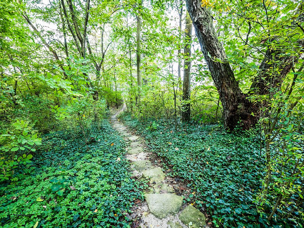 Path to beach