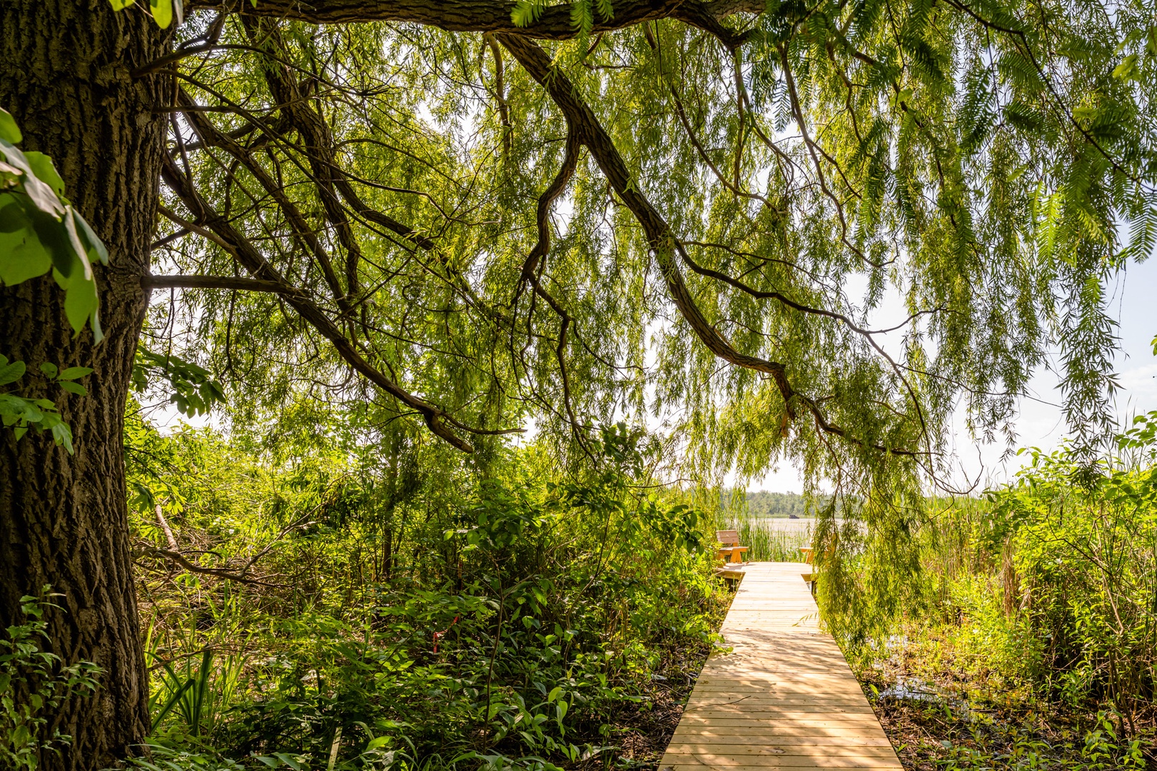 Deck To North Lake