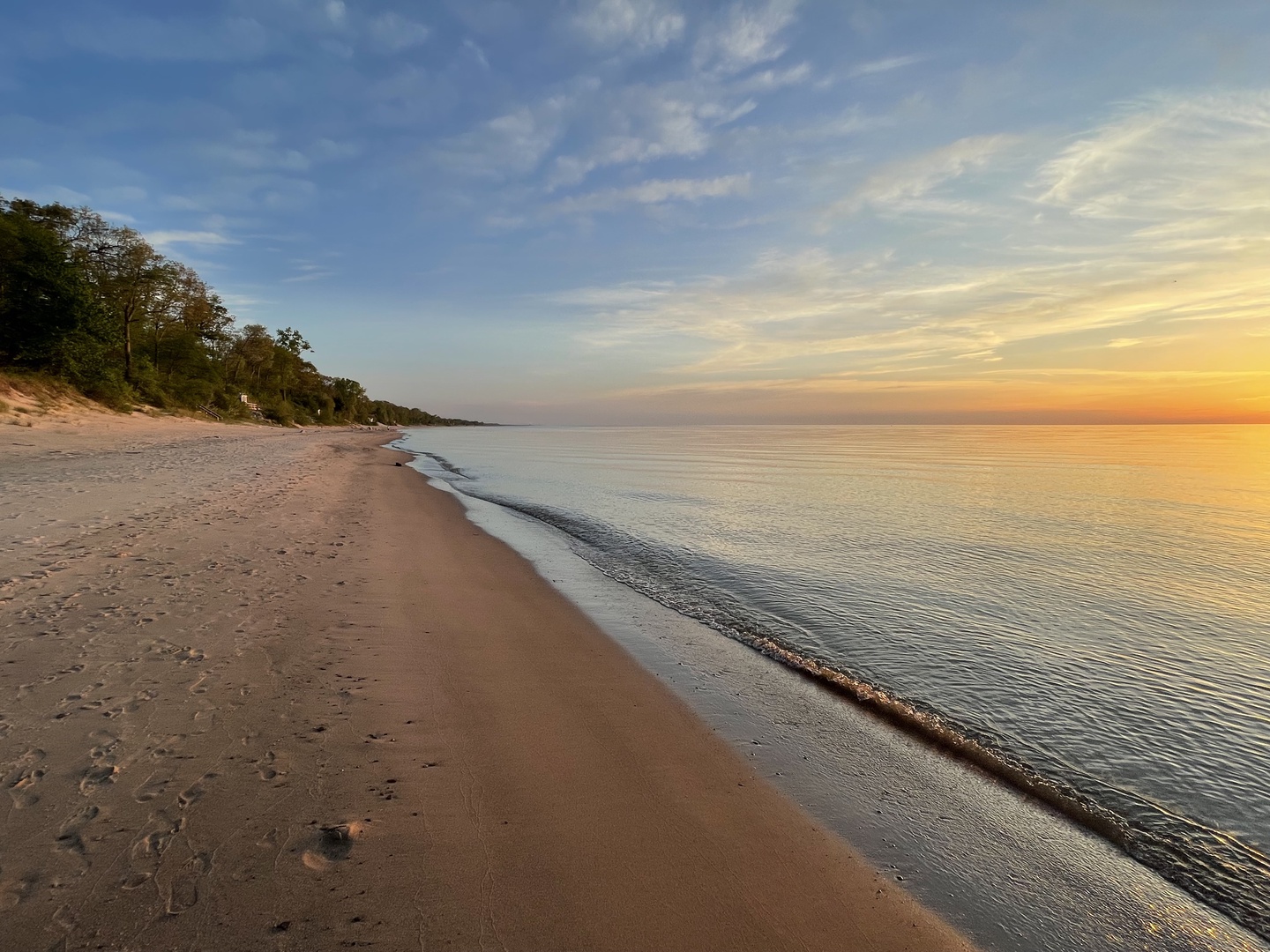 Paradise Is Calling