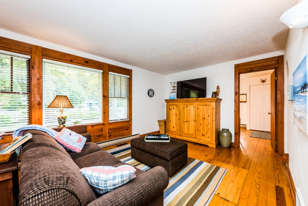 Second TV Room with Pull-Out Couch