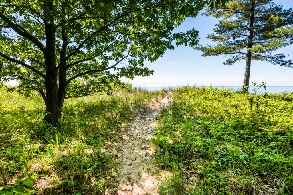 Beach Path