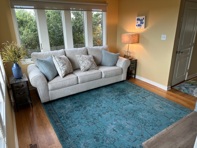 Bonus Room w/ Sleeper Sofa