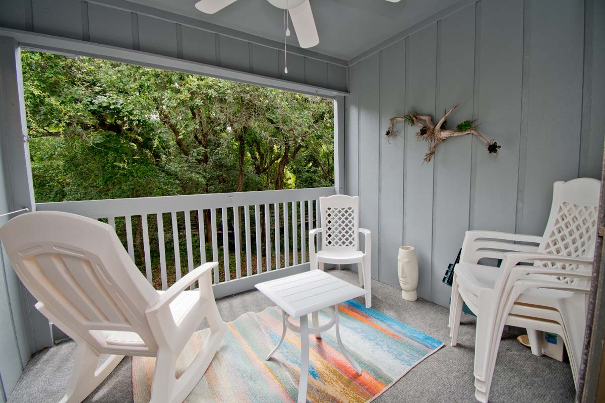 Ocean Glen 10 Driftwood On The Ocean