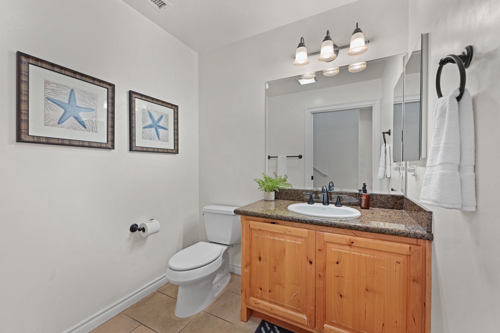 Main level bathroom
