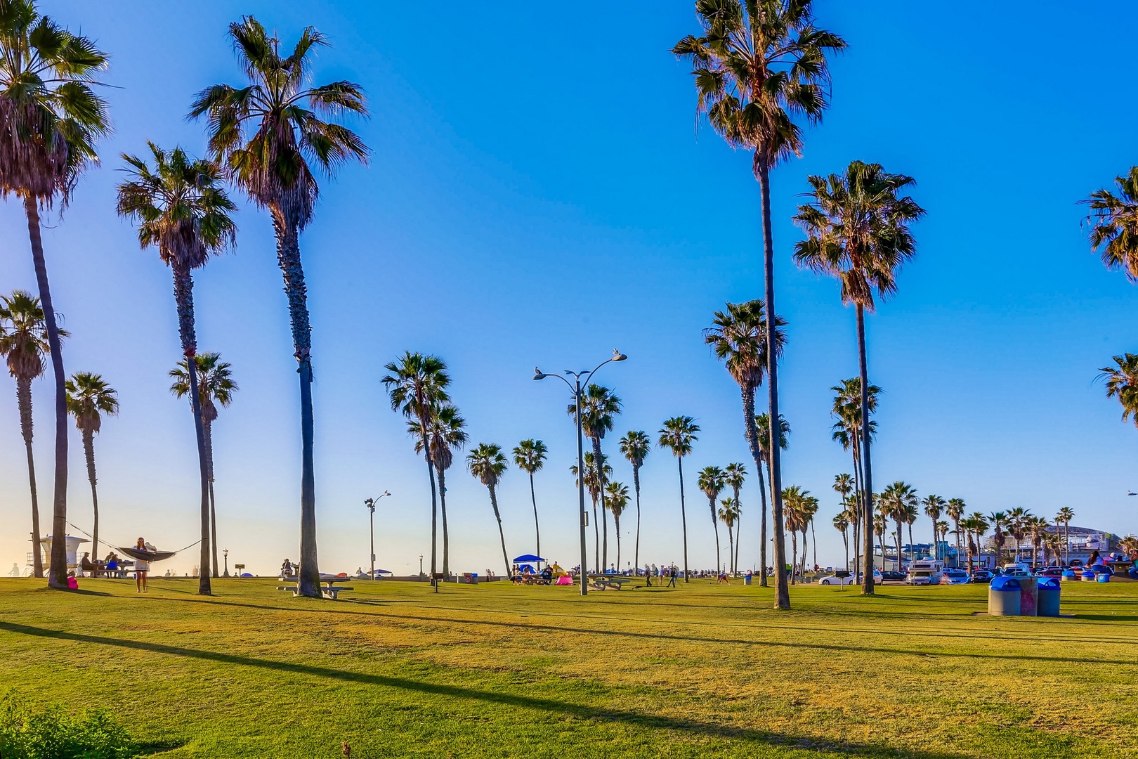 Nearby grass park