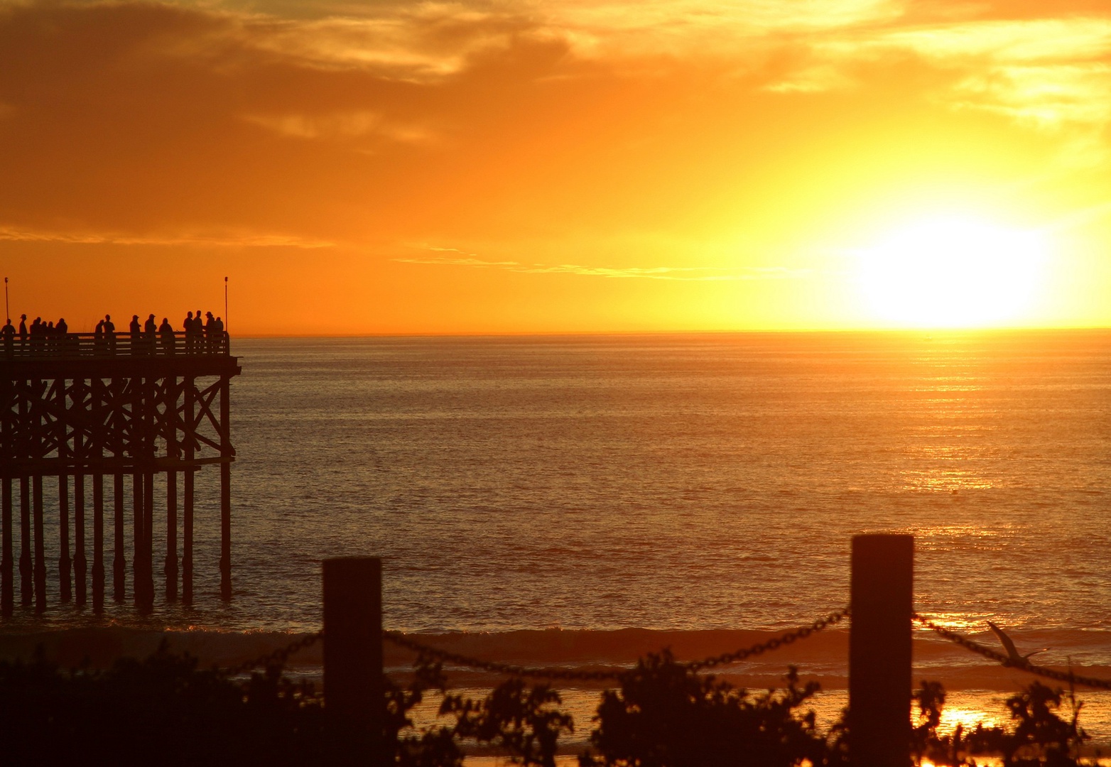 Amazing sunsets by the pier