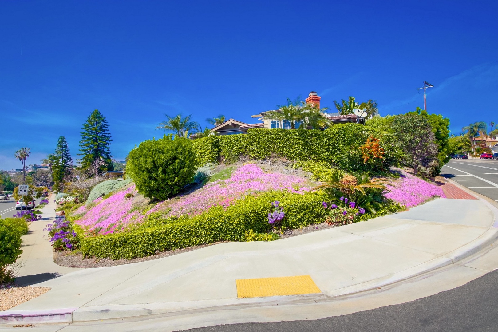 Private La Jolla hillside location