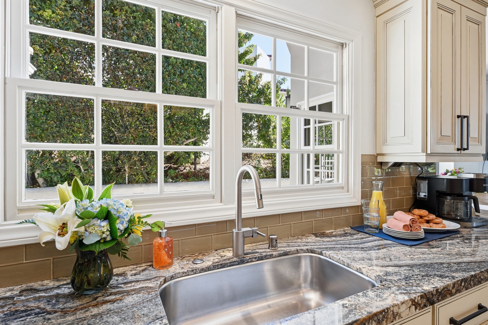 Stainless appliances and stone counters