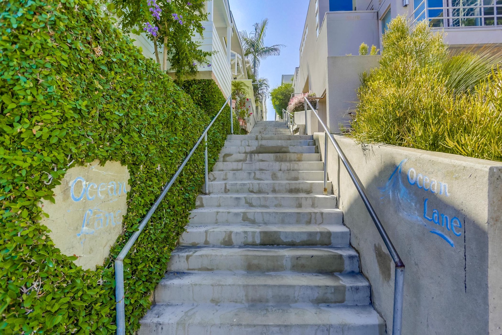 Stairs to entry off Ocean Lane sidewalk