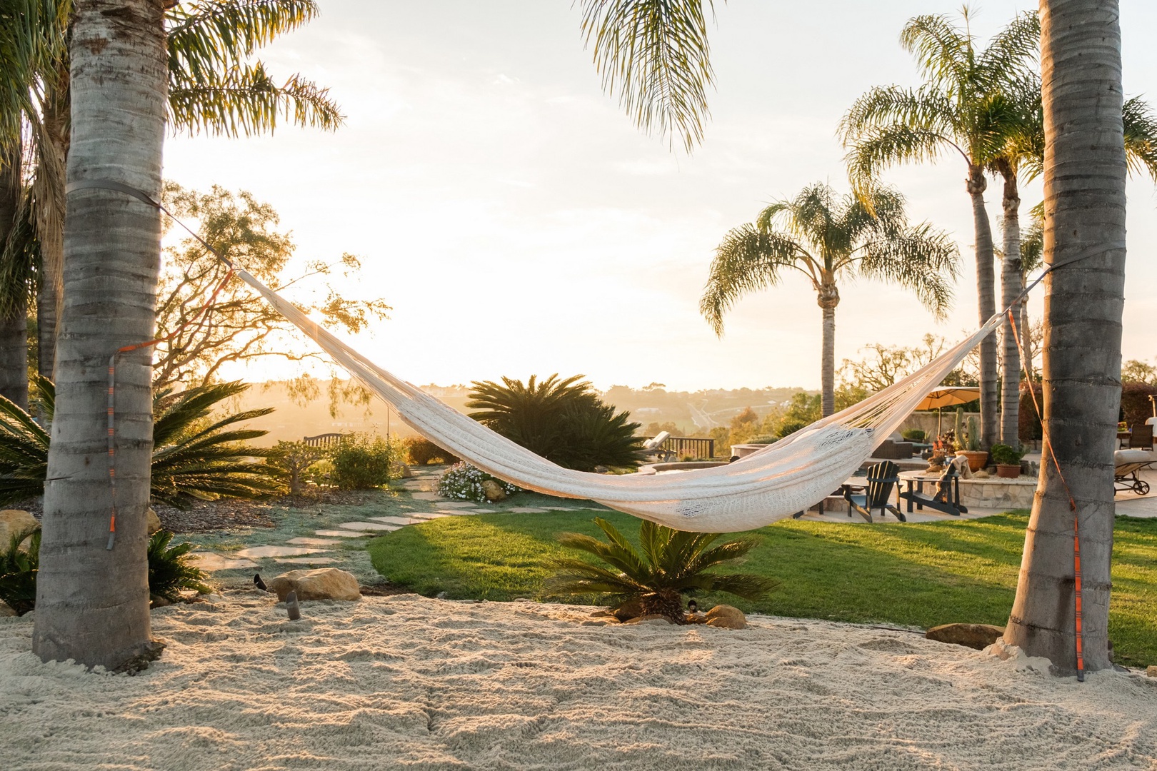 Palm tree hammock