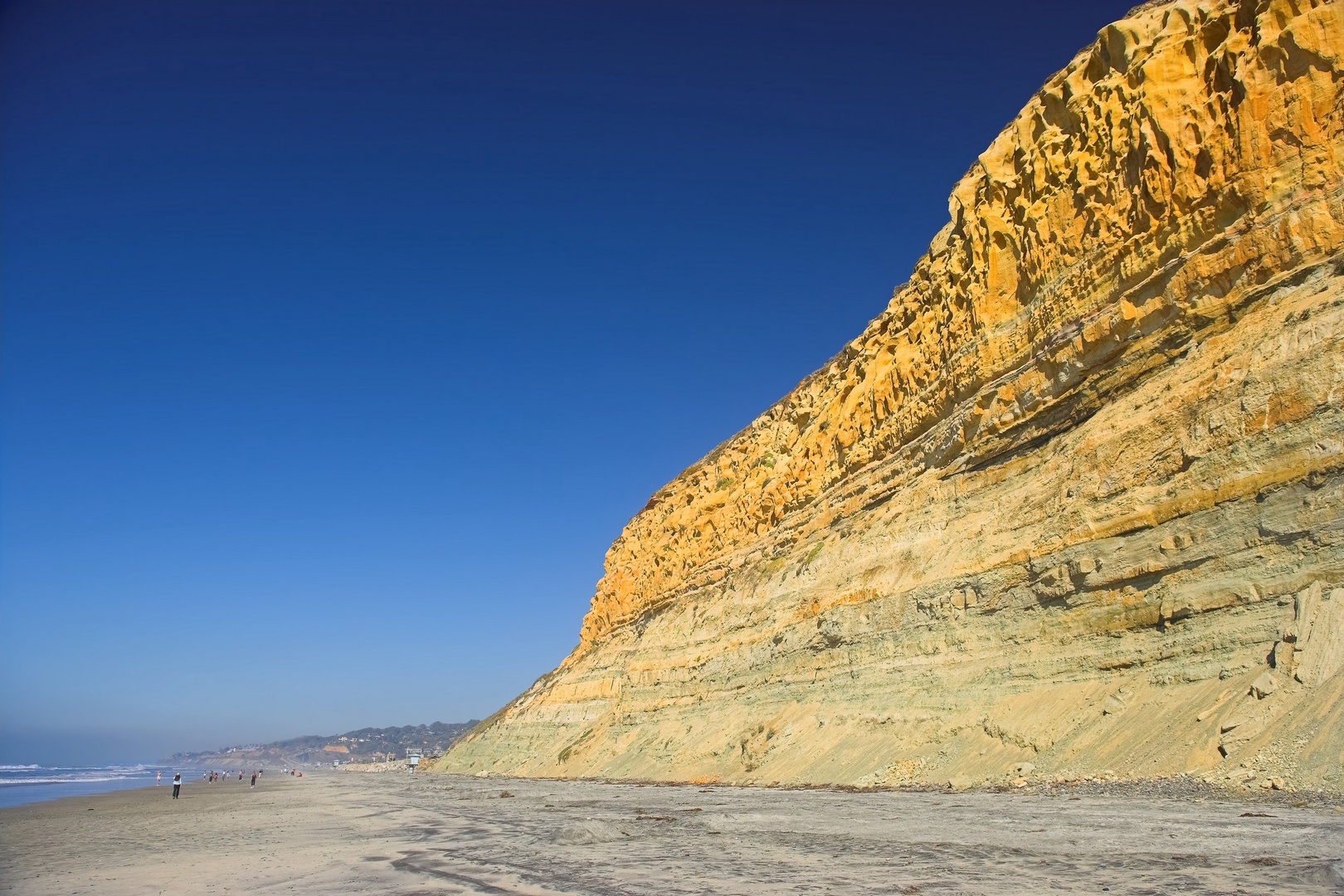 Walk to the cliffs at Torrey Pines