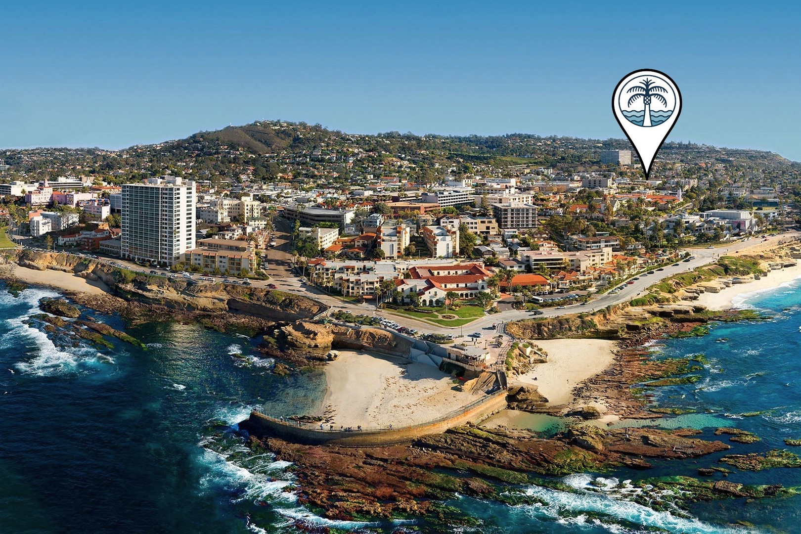 Check out the seals at La Jolla Cove