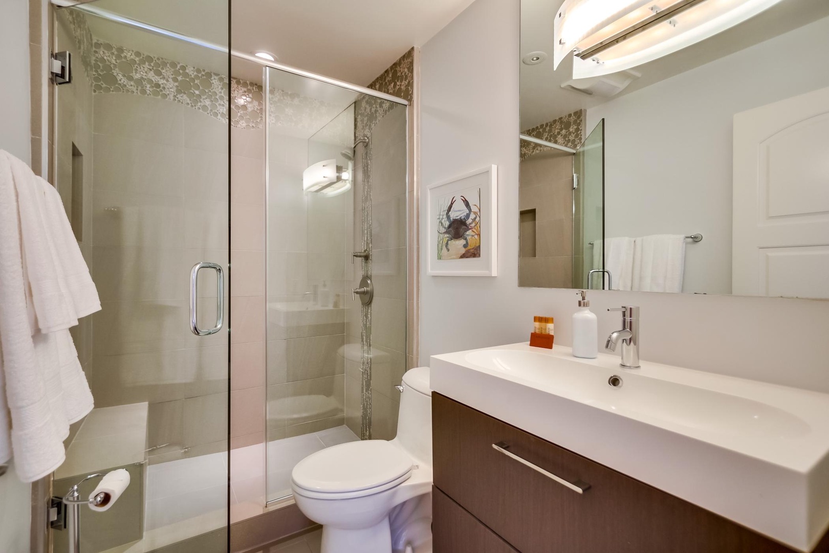 Hall bathroom with walk-in shower