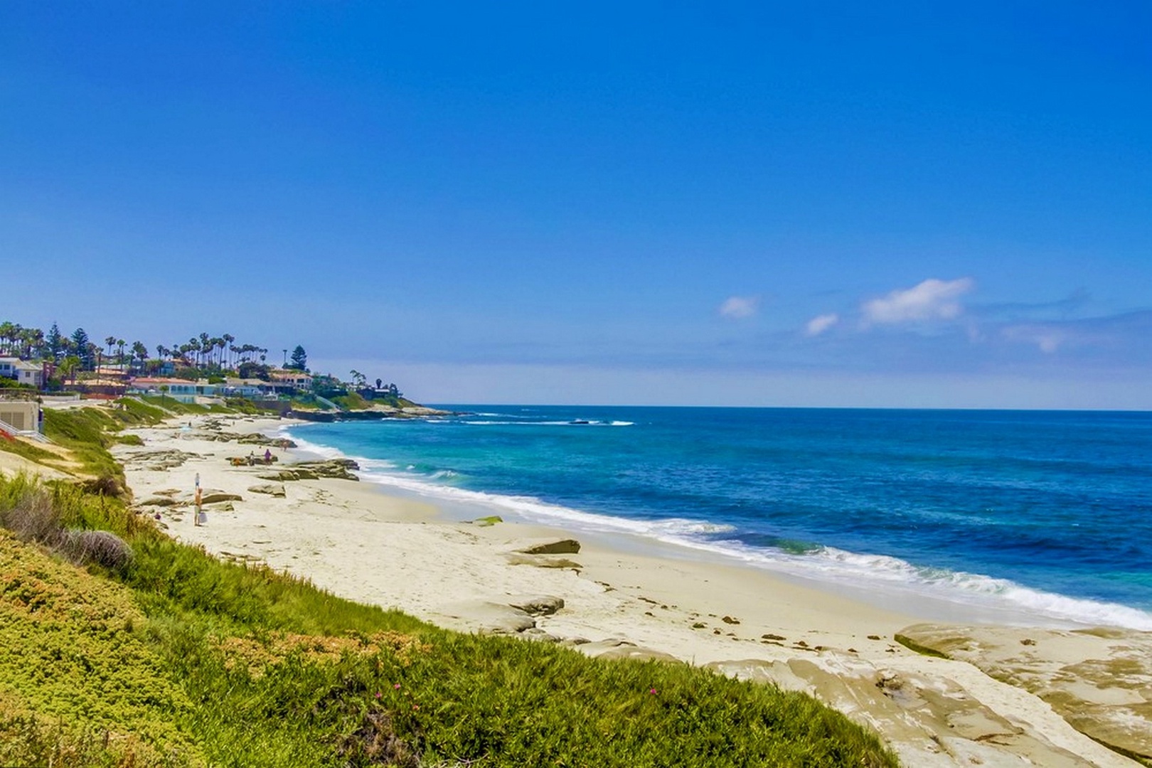 Near picturesque Windansea Beach