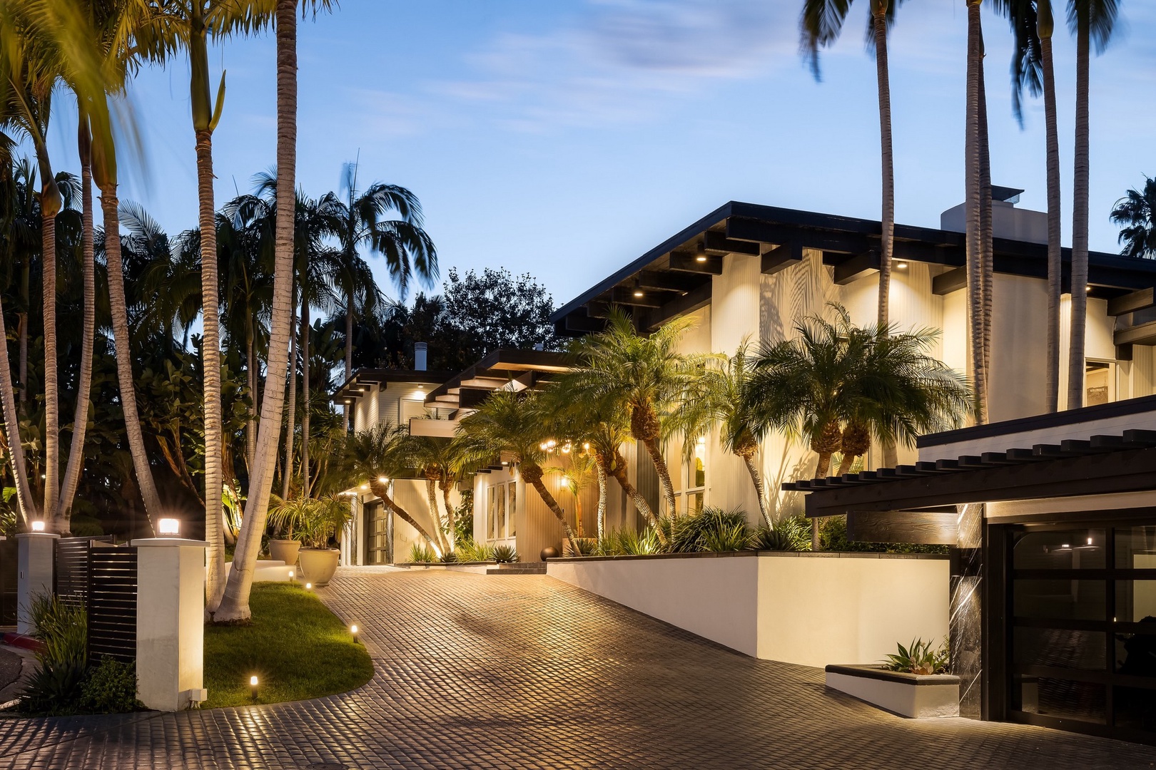 Luxury San Diego Vacation Rental framed by towering palms