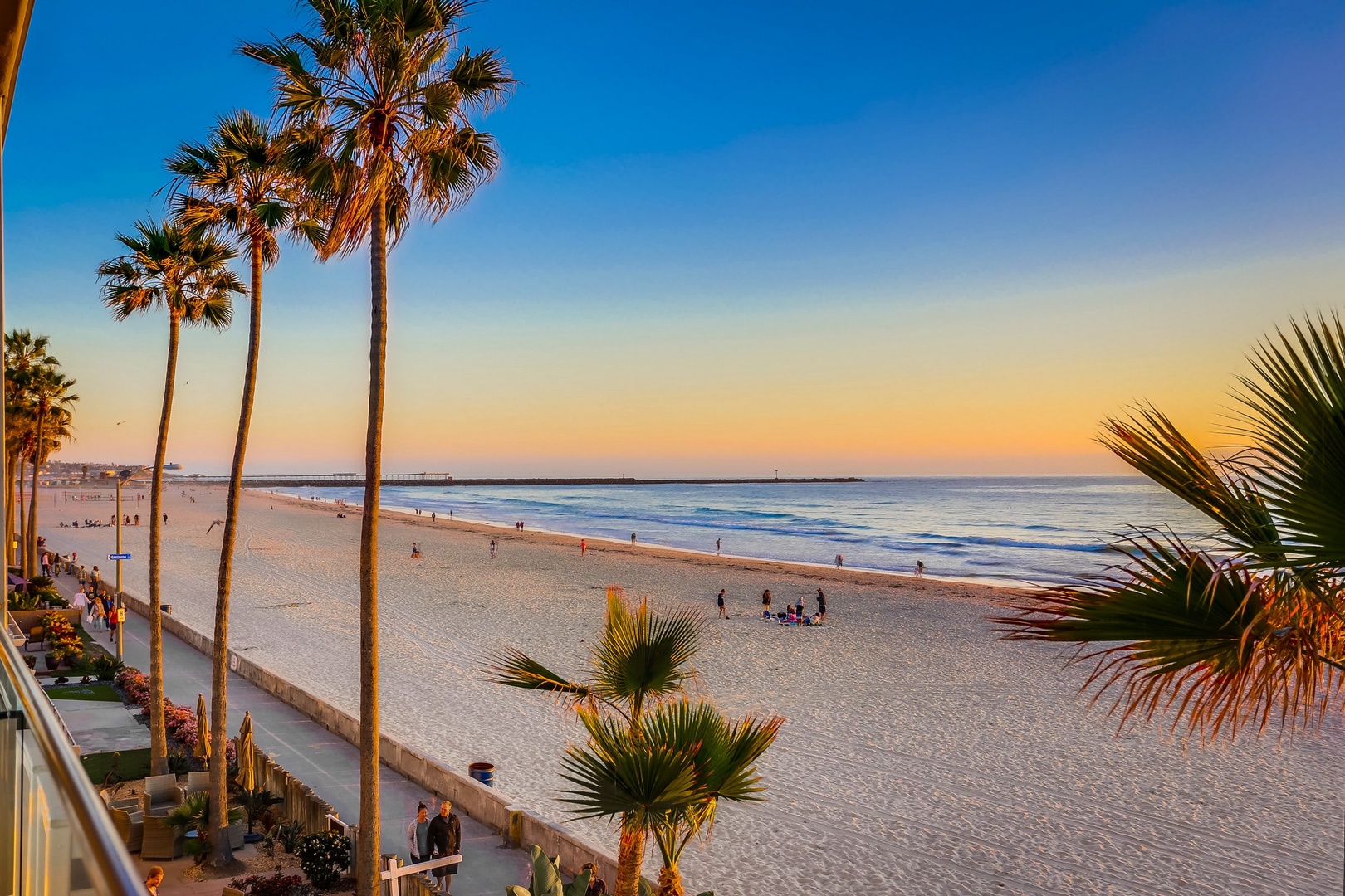 Tall palm trees and golden-hour skies