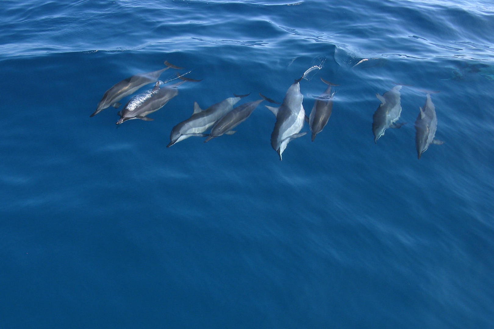 Say hello to our little friends