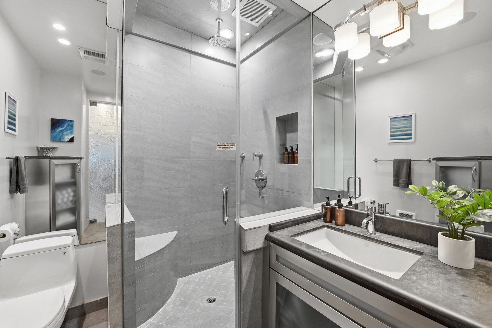 Hall bathroom with walk-in shower