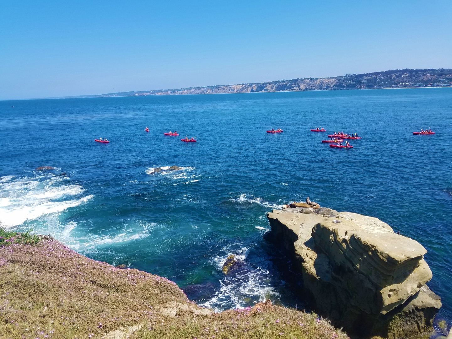 La Jolla Cave Kayak Tours