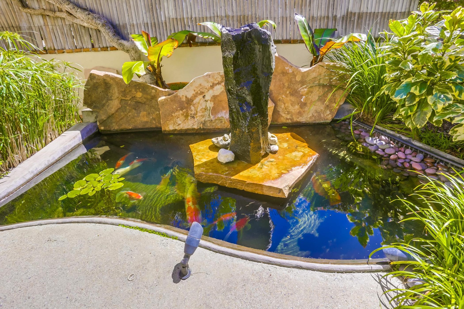 Serene koi pond (can be fenced off for safety)