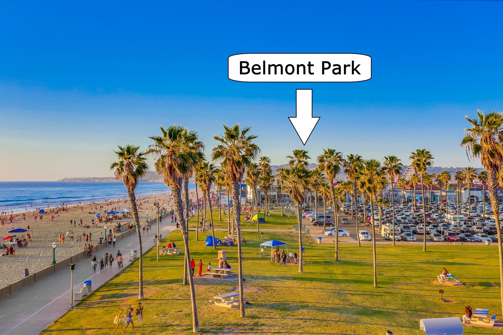 Belmont Park beachfront park features tall palm trees, open grassy areas, a pedestrian walkway, sandy beach access, and parking adjacent to the Pacific Ocean.