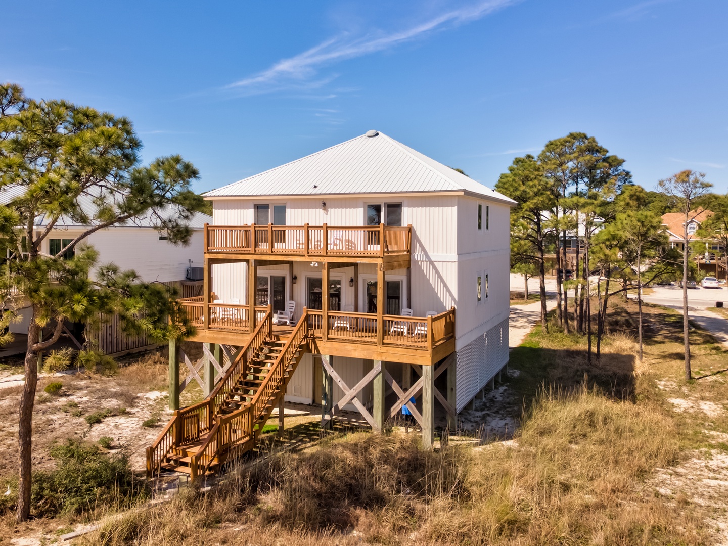 Dauphin on the Gulf