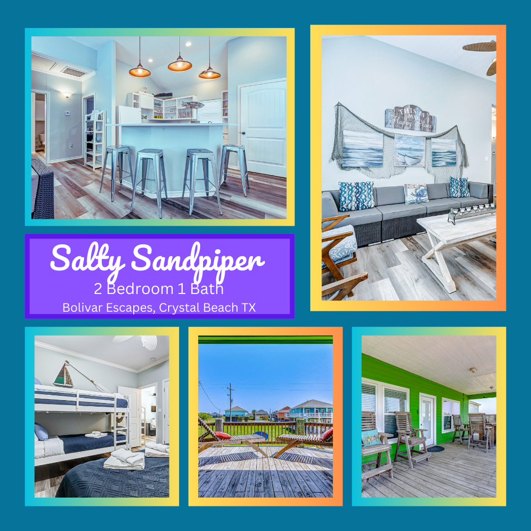 Salty Sandpiper