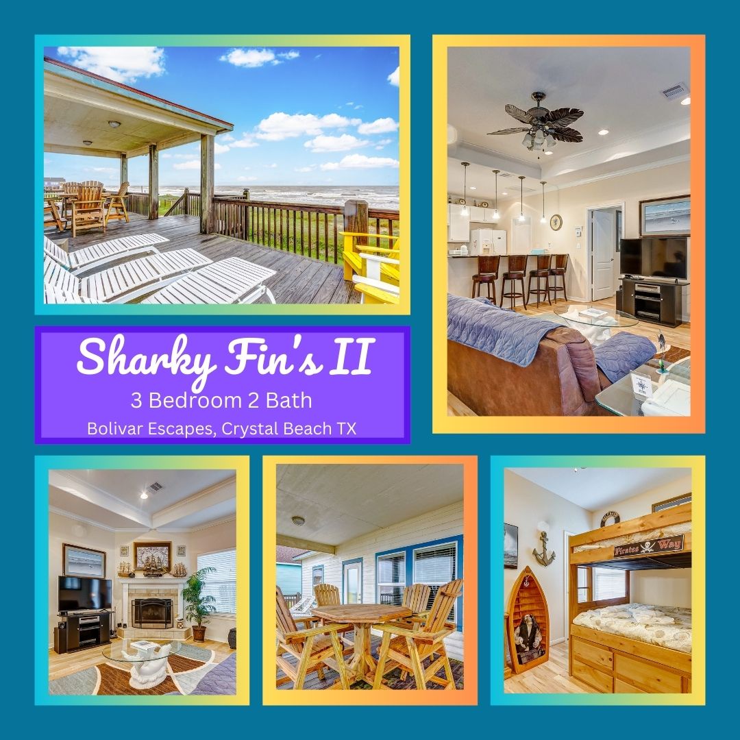Sharky Fin's II