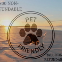 pet friendly