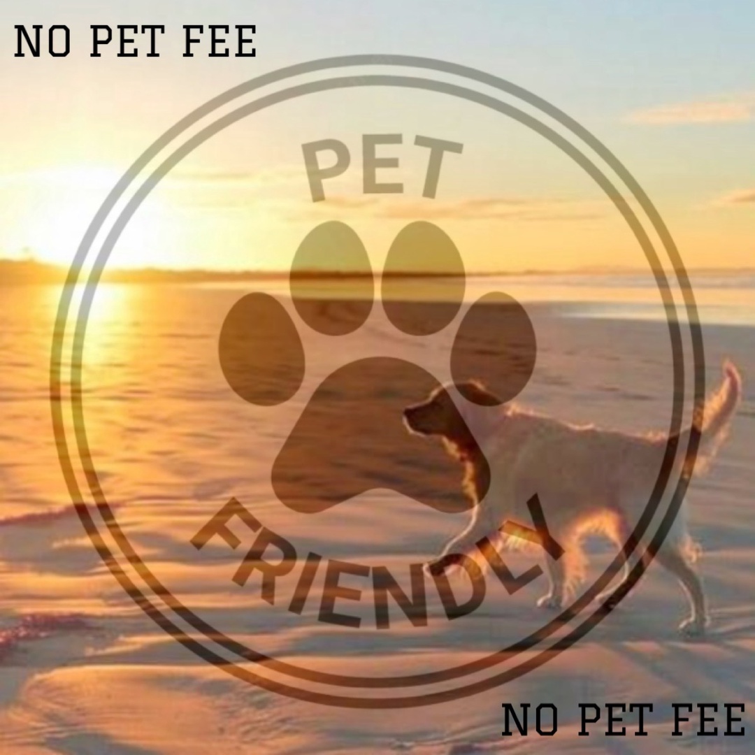 no pet fee 