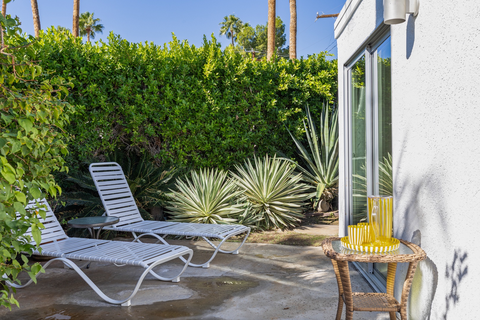 388 E Desert Willow Cir-34