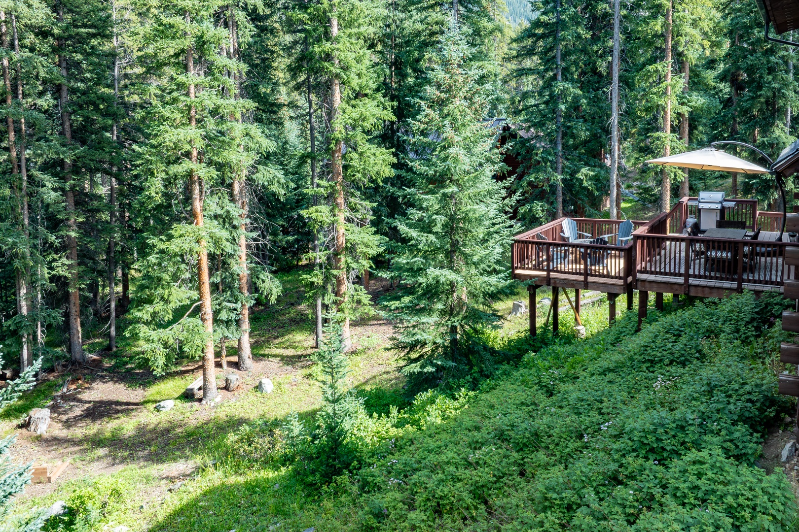 DJI_20250805163240_0008_D