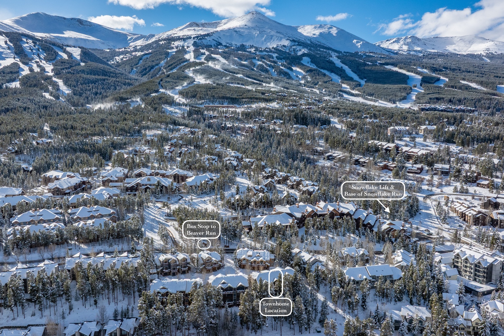 DJI_20241108145339_0234_D copy 2