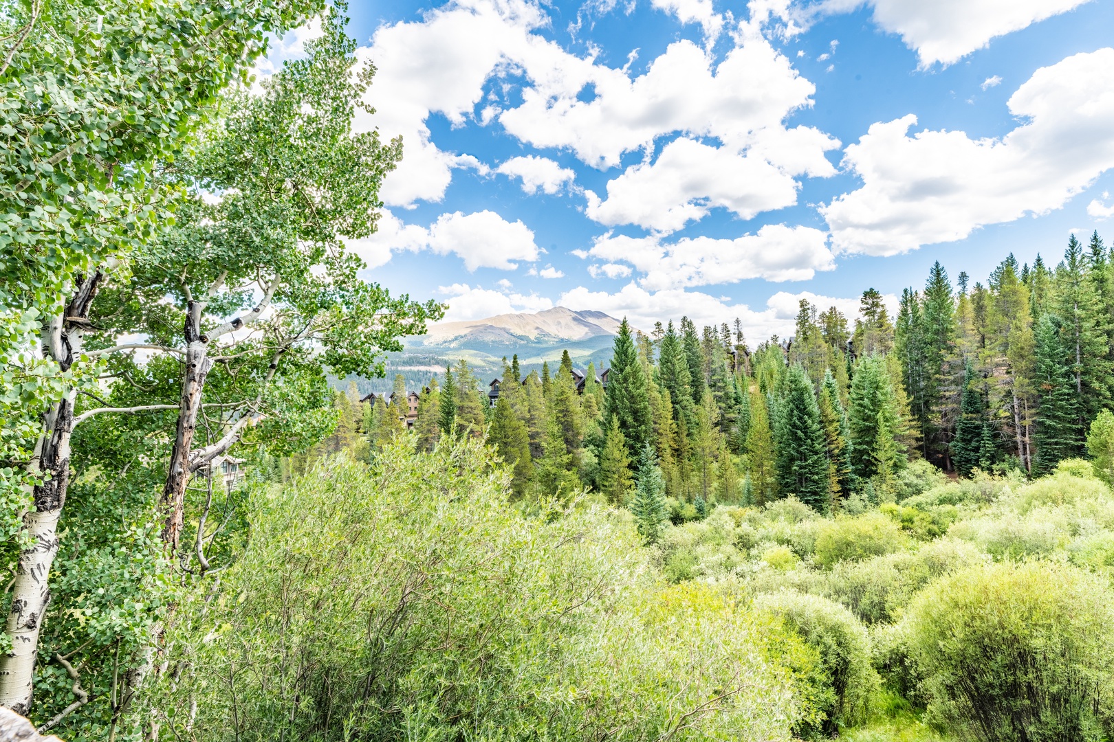 DSC_9539-HDR