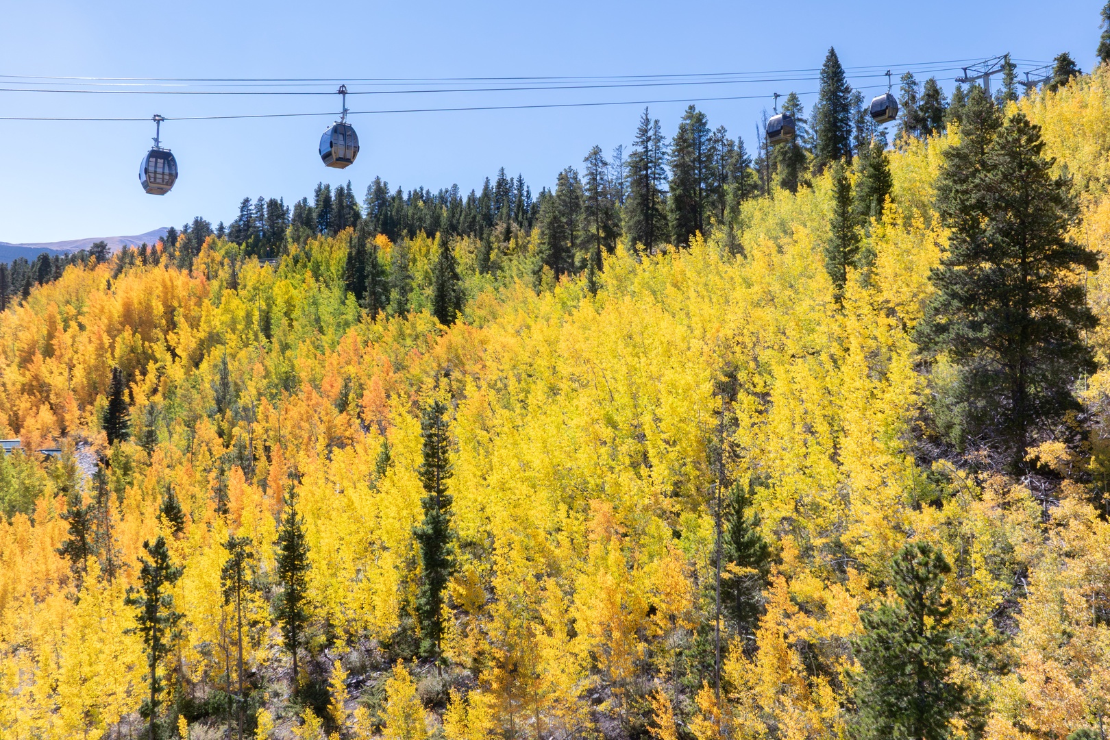 DJI_20240919145403_0170_D-Enhanced-NR