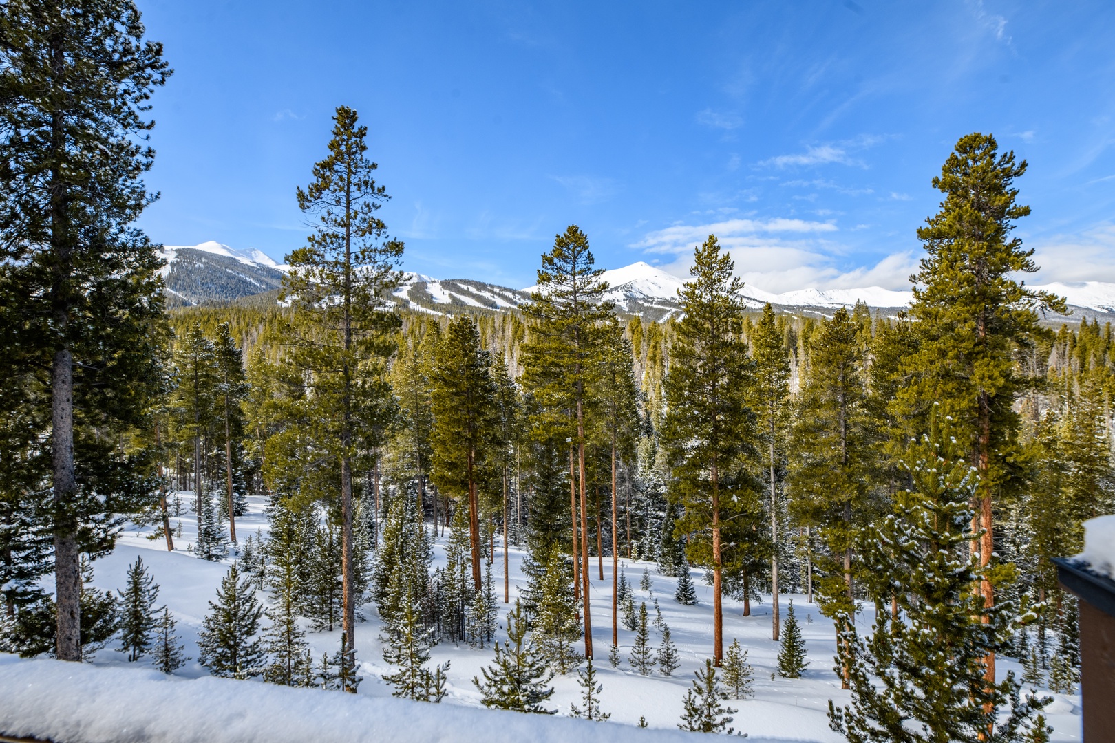 DSC_7163-HDR