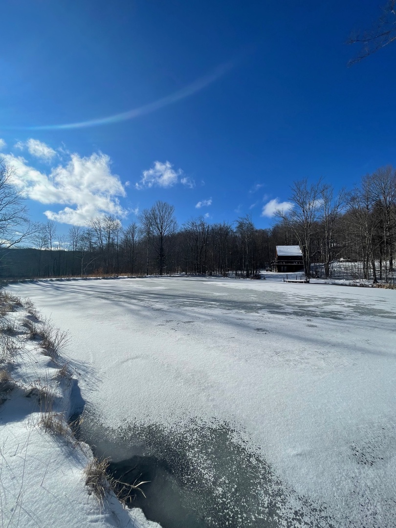 Winter Pond View