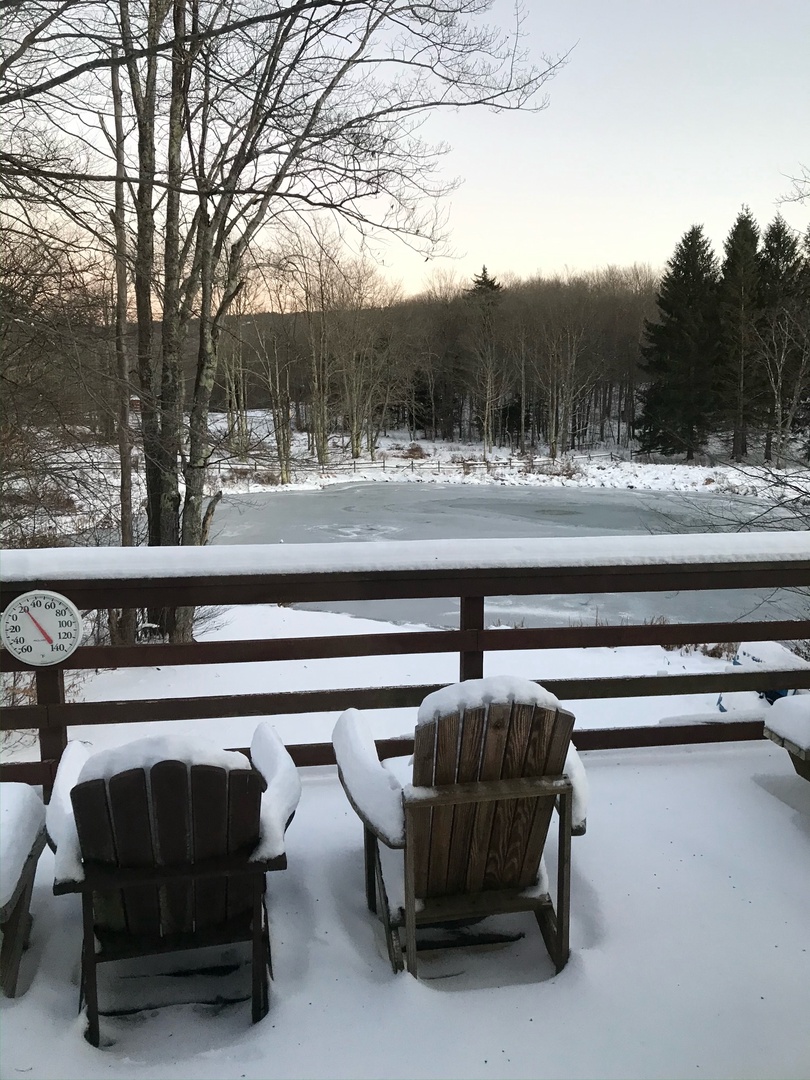 Winter view from deck