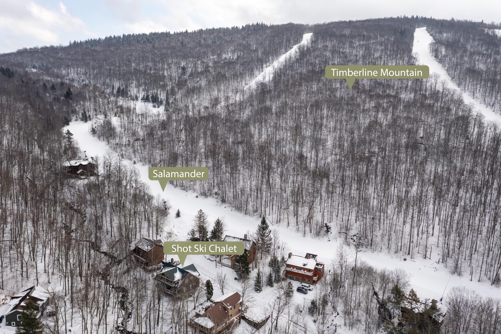 Winter wonderland aerial view showcasing Timberline Mountain ski slopes and the cozy Shot Ski Chalet nestled among snow-covered trees.