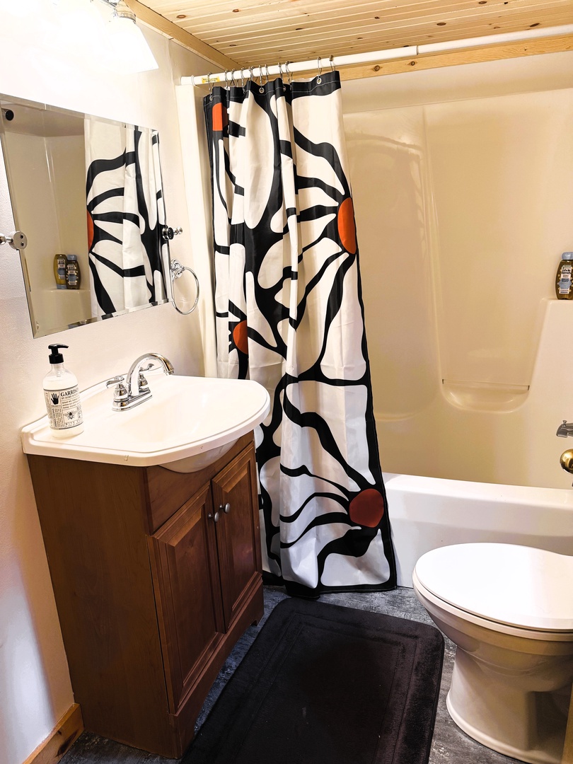 Jack and Jill Bathroom shared with Bedroom 2 and Bedroom 3.