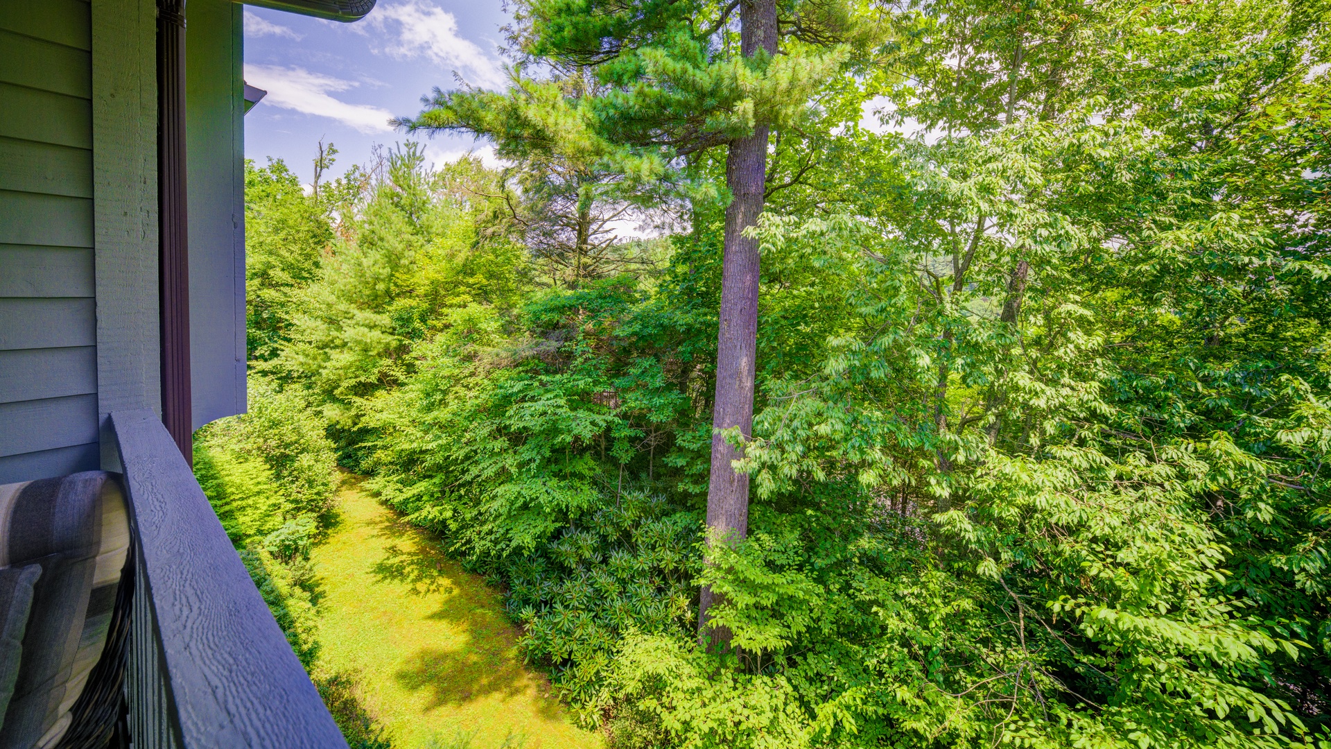 Adirondacks 6-3