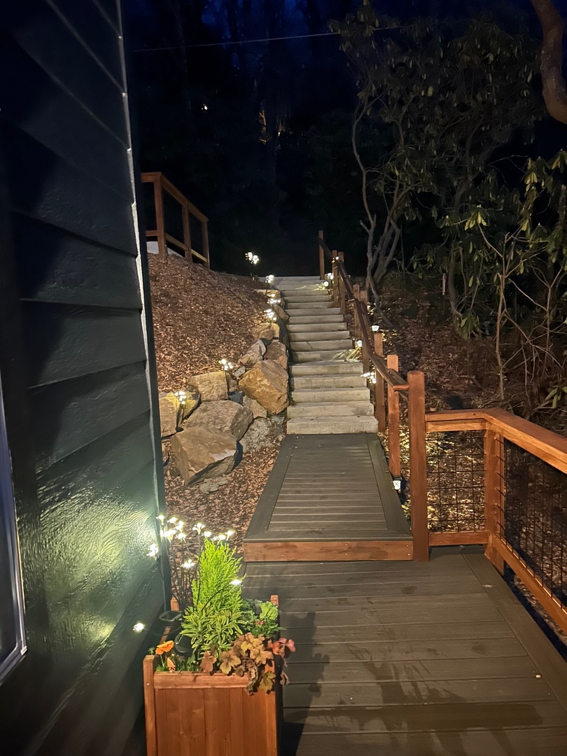 image11 (1)